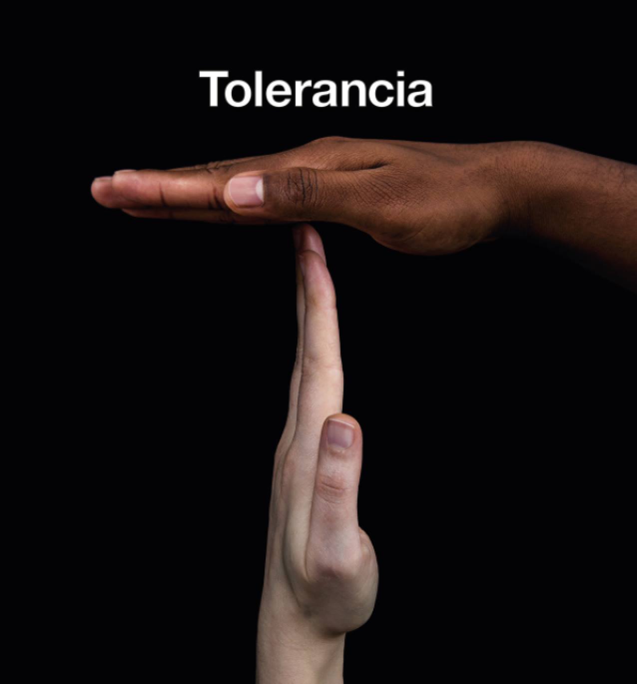 Tolerance Poster Show in Dubrovnik